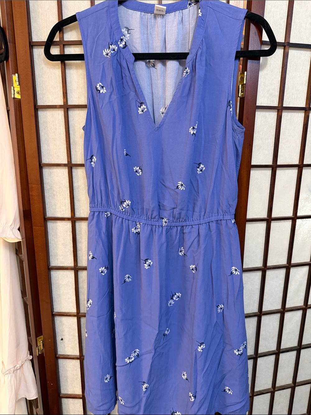 Sleeveless Blue Floral V-Neck Dress